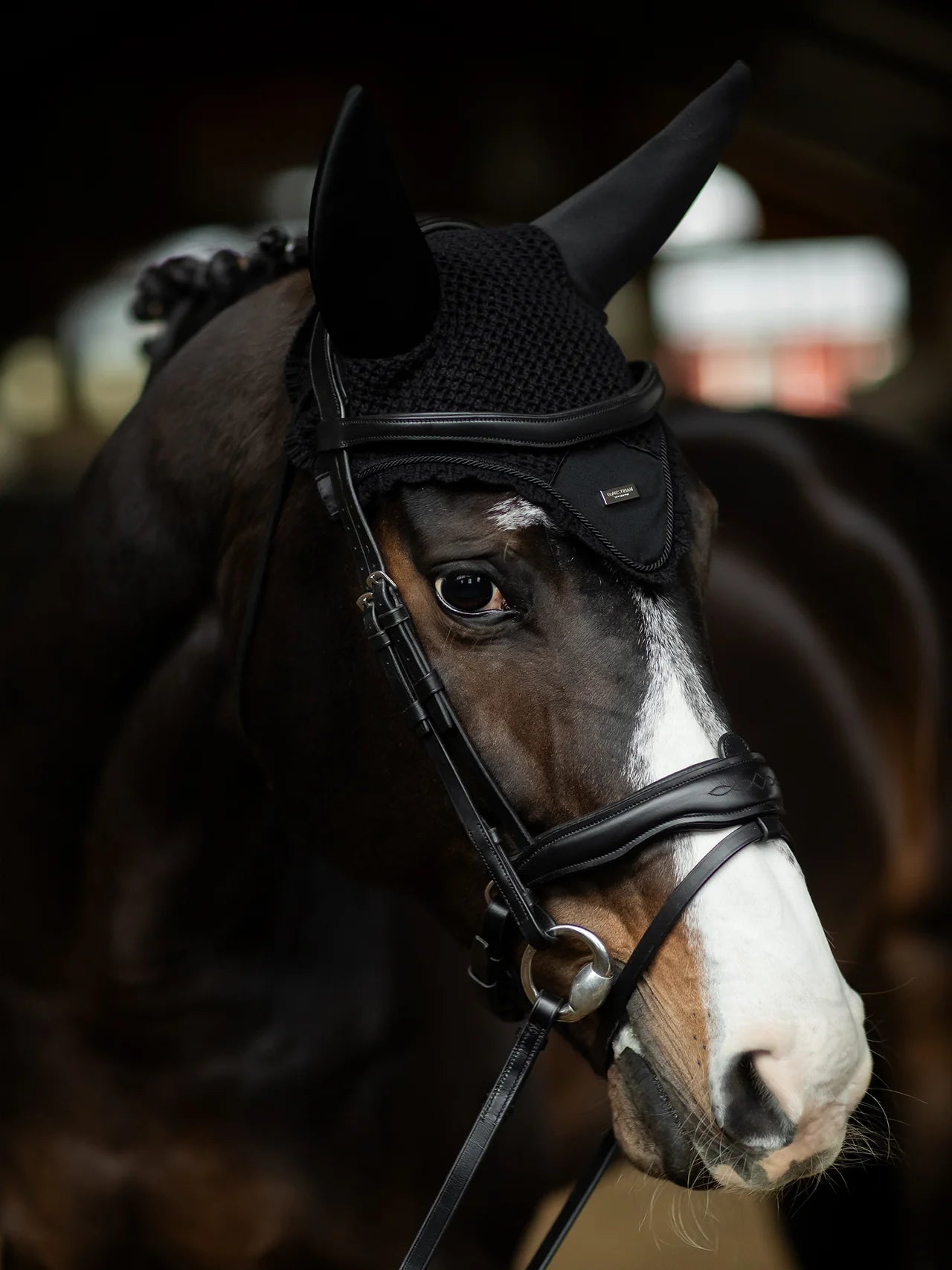 Equestrian Stockholm - Colección Core - Bonete acolchado para orejas negro plata