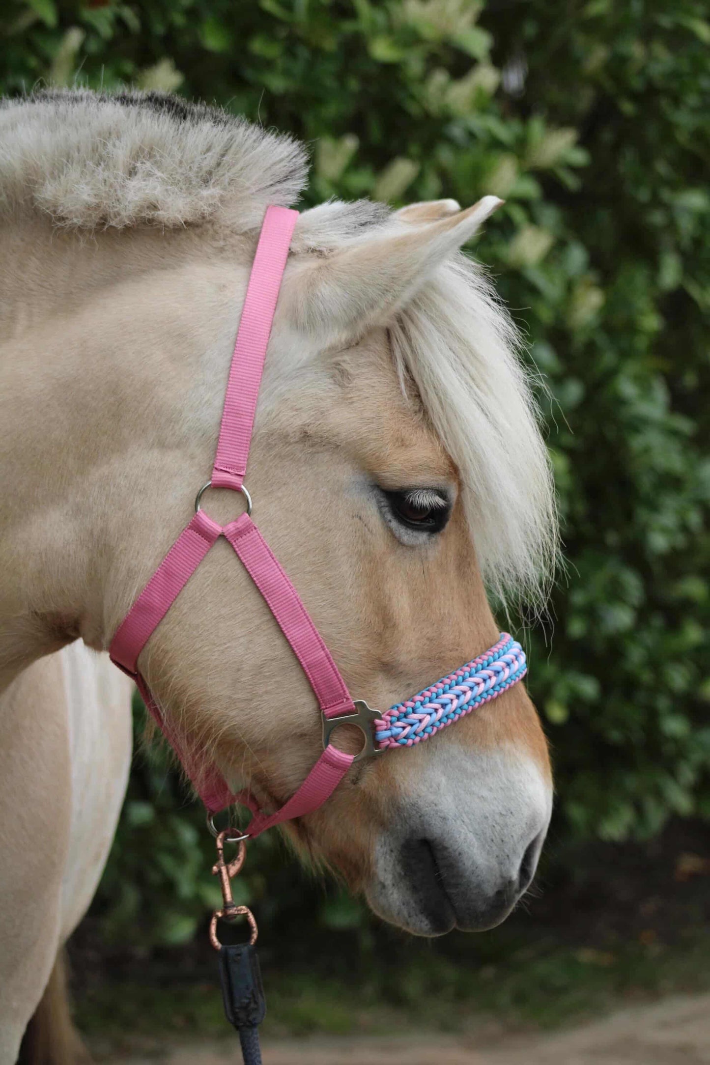 Handmade Horse Halters - Knotted halter 'Cotton Candy' light pink/light blue