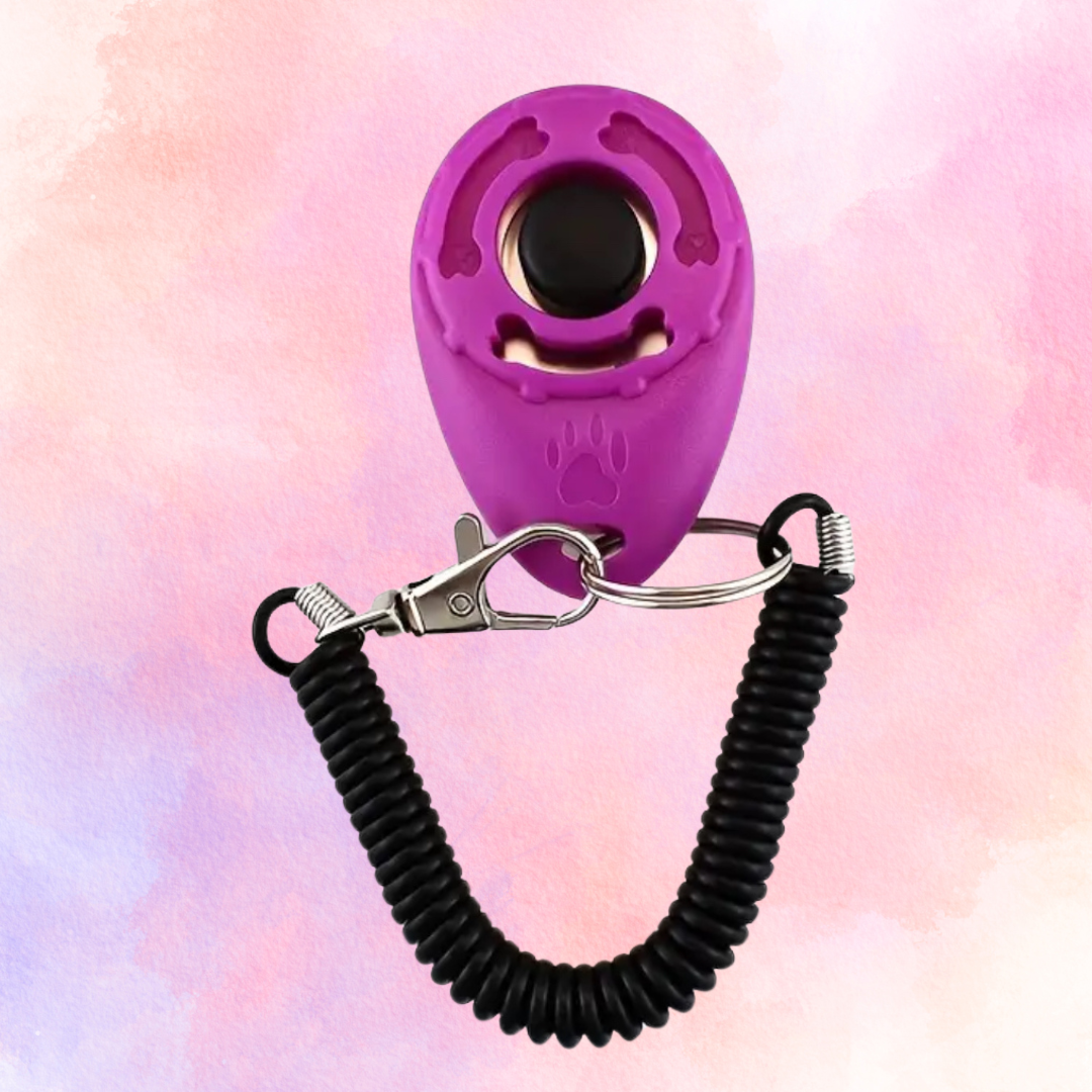 FMH - Clicker for clicker training