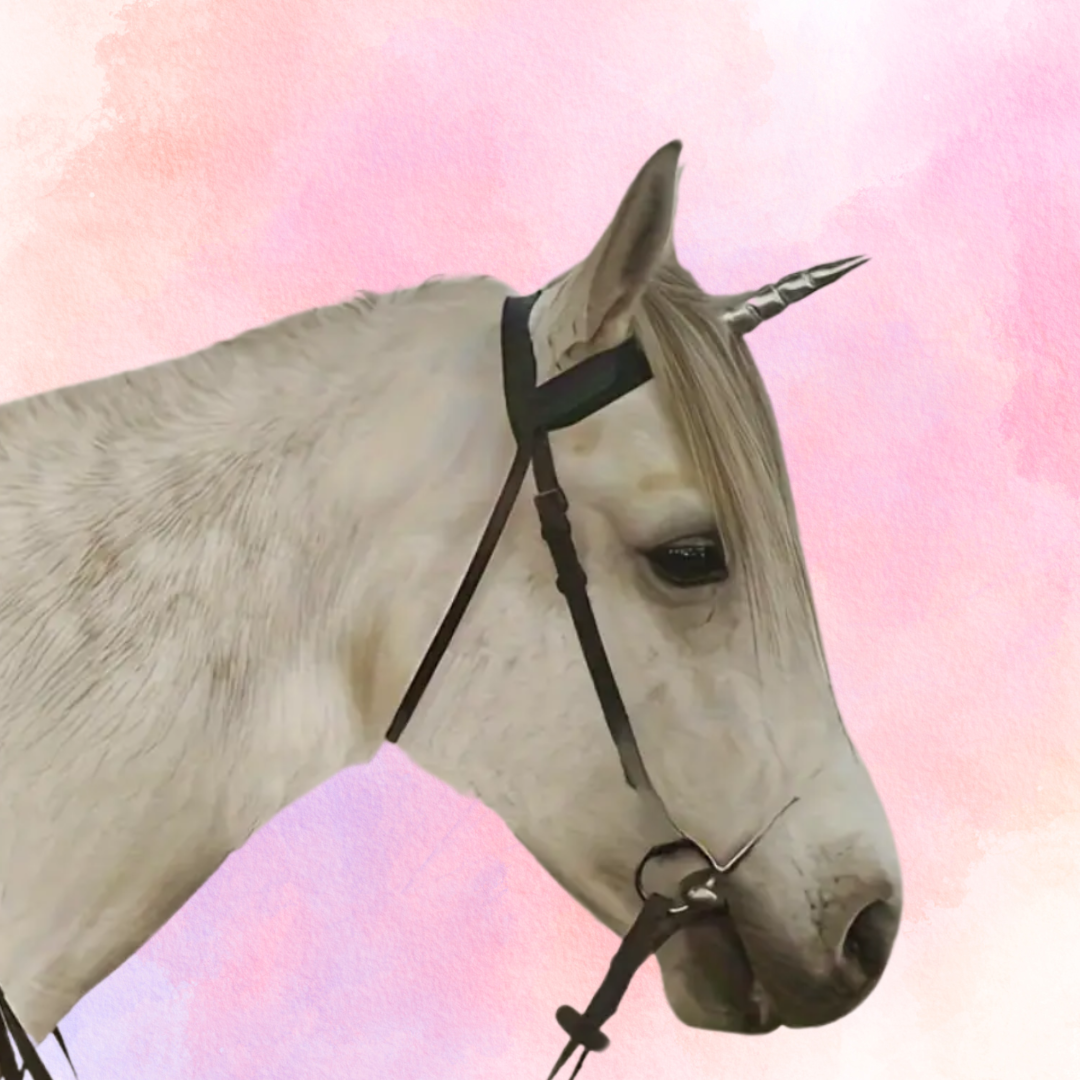 FMH - Unicorn Horn on Black Belt