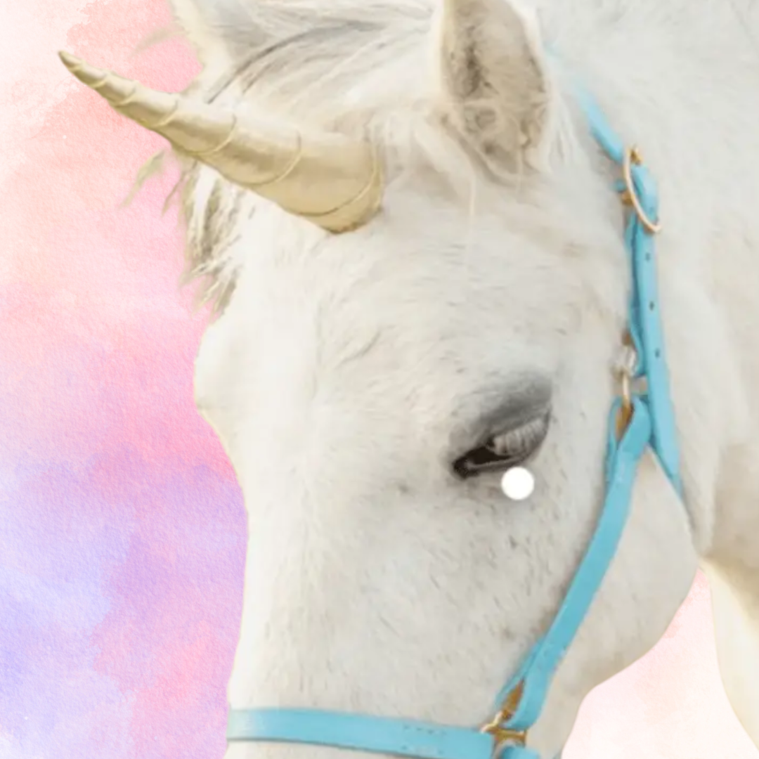 FMH - Unicorn Horn on Black Belt