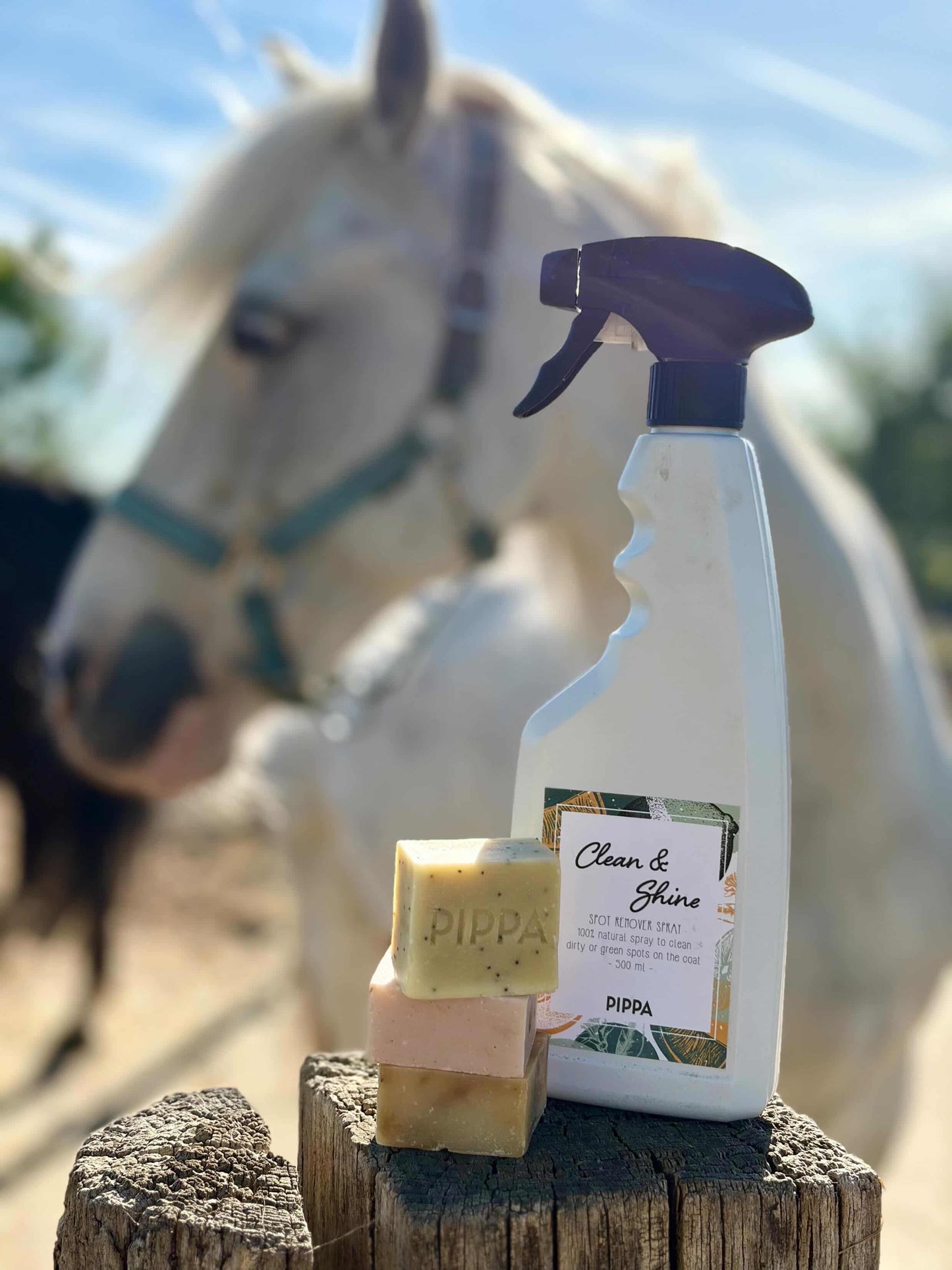 PIPPA - Spray Clean & Shine per rimuovere macchie
