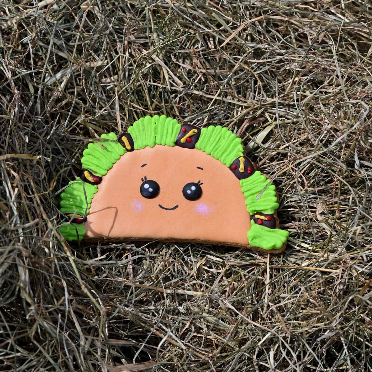Candy Horse - Foodie Limited Collection - Los Koekje (div. varianten)