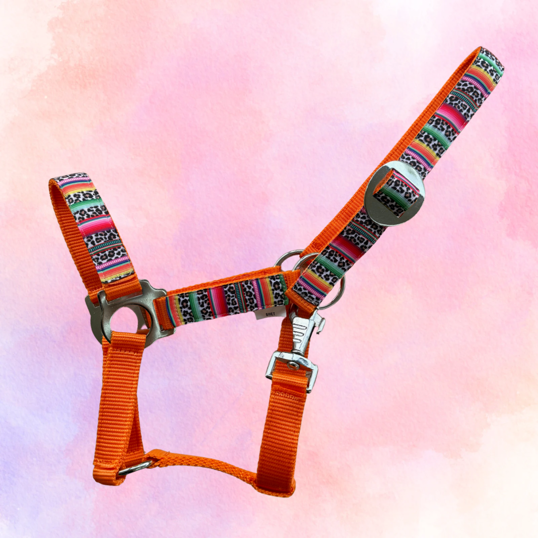 Happy Halters x FMH - Colorful Panther Exclusive halter