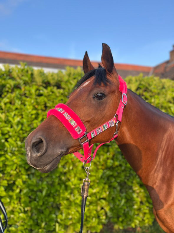 Happy Halters x FMH - Colorful Panther Exclusive halter (fur)