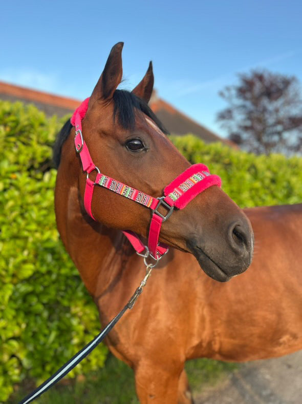 Happy Halters x FMH - Colorful Panther Exclusive halter (fur)