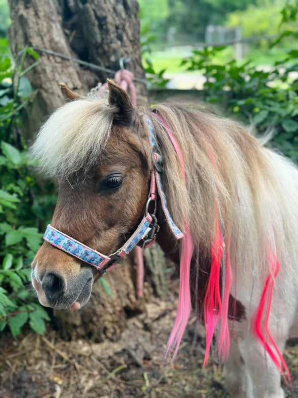FMH - Clip-in hair extensions colored hair for tail and mane