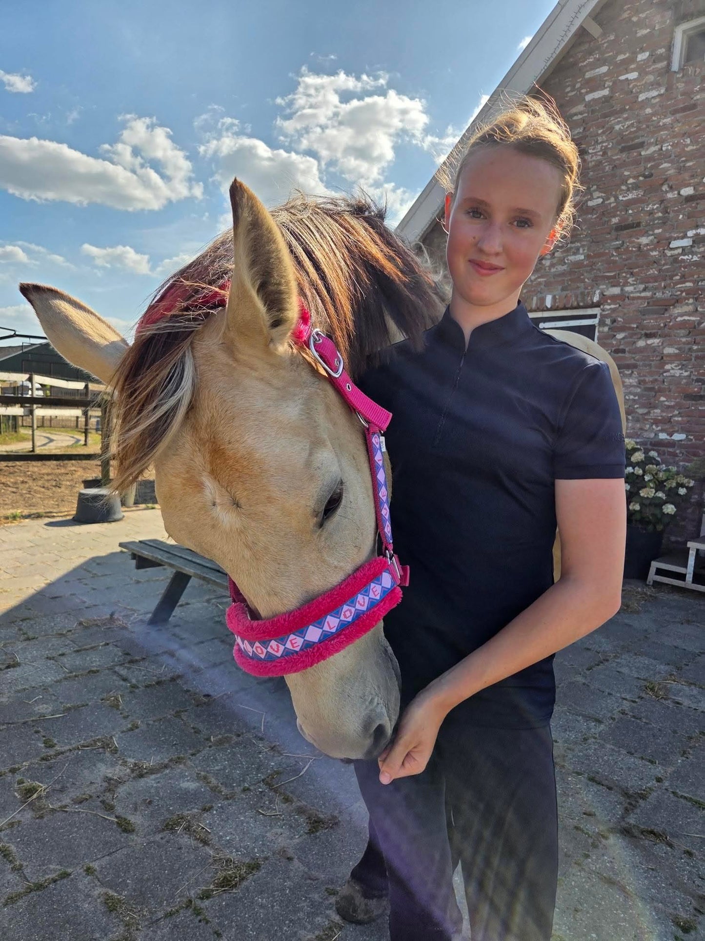 Happy Halsters x FMH - Love is Love Exclusive halter (coloured)