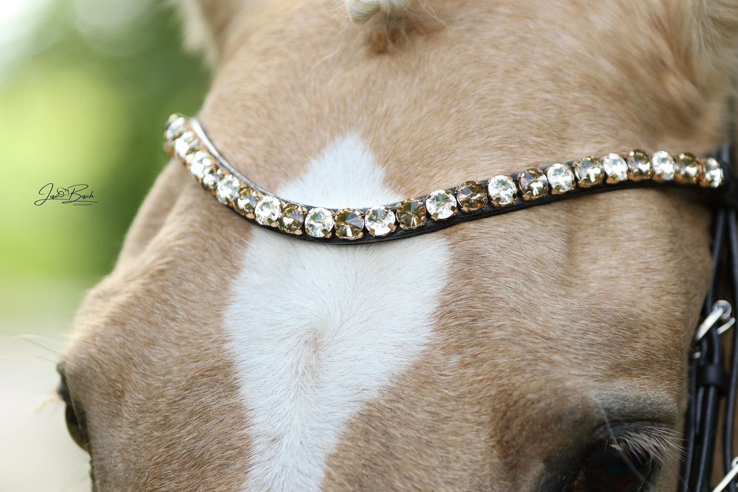 FMH - Luxe Hanoverian hoofdstel ‘You're Golden’ met dubbele neusriem goud onderlegd in bruin of zwart incl. teugels