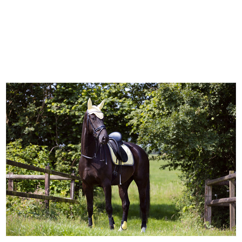 BR - Event peesbeschermers (div. kleuren)