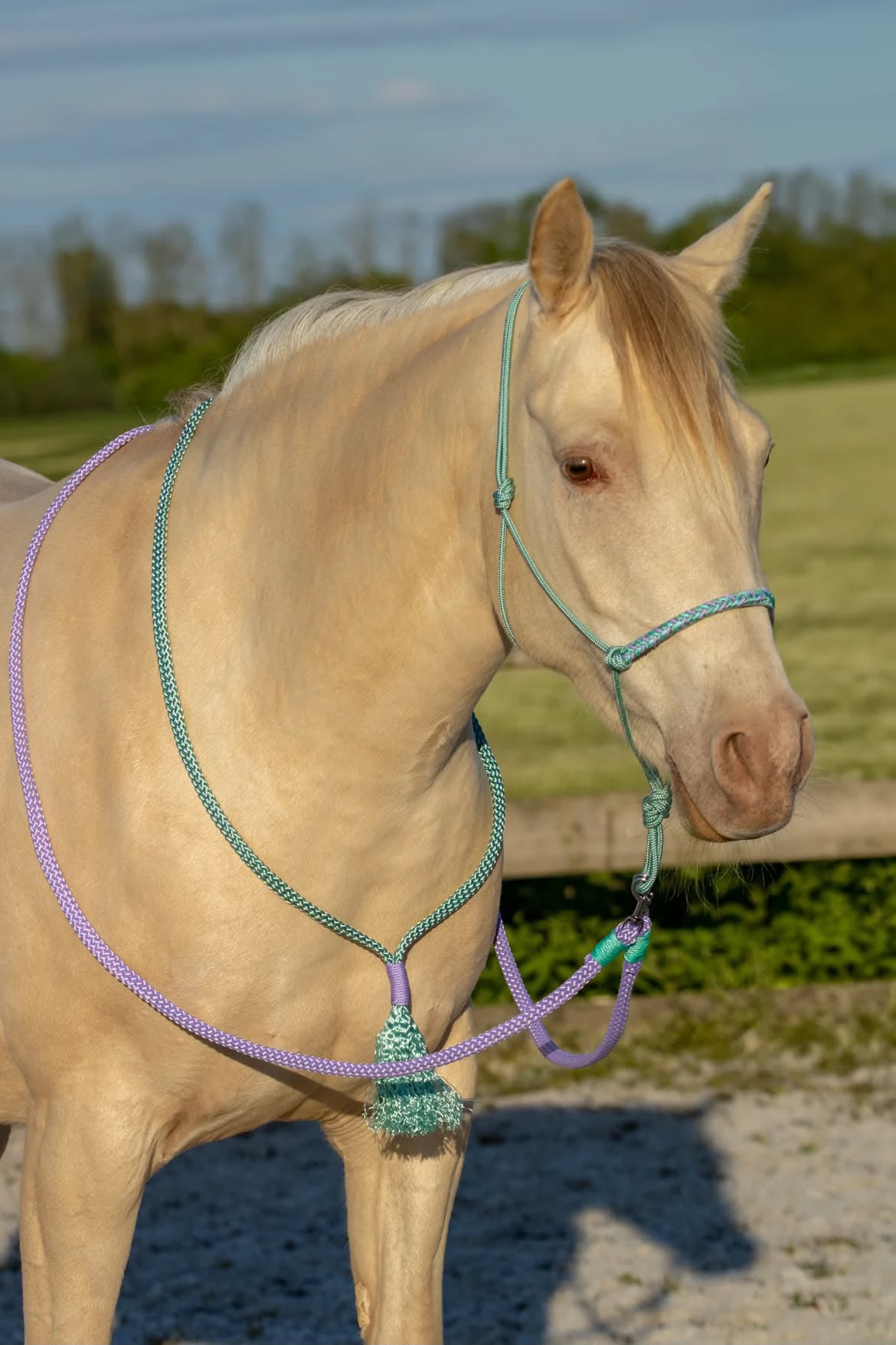 THV03 - Touwhalsterverkoop - Touwhalster set lavendel/zeegroen halster, teugels, neckrope COB