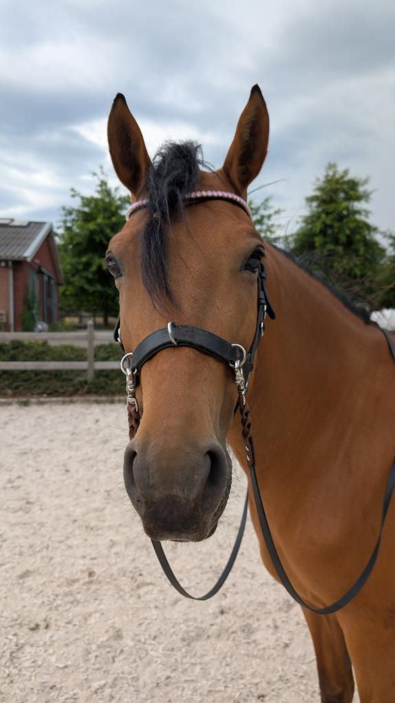 FMH - Sparkling 'Big Stone' Wave front strap with 8mm stones in various colors