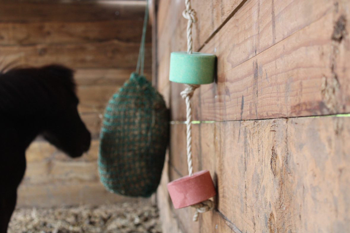 Lolly-Lick - Rope for licking stones