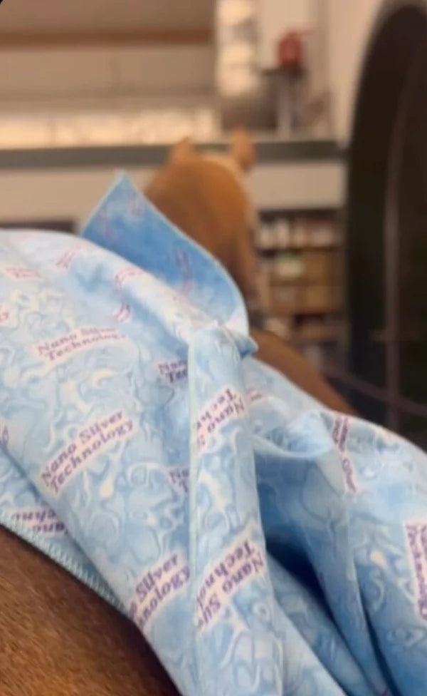 CleanYourHorse - Nano zilver Droogdoek (small/normaal)