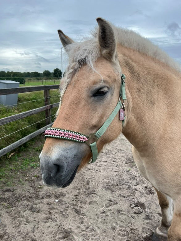 Handgemaakte paardenhalsters - Geknoopt halster ‘Wild Rebel’ Olijf/roze