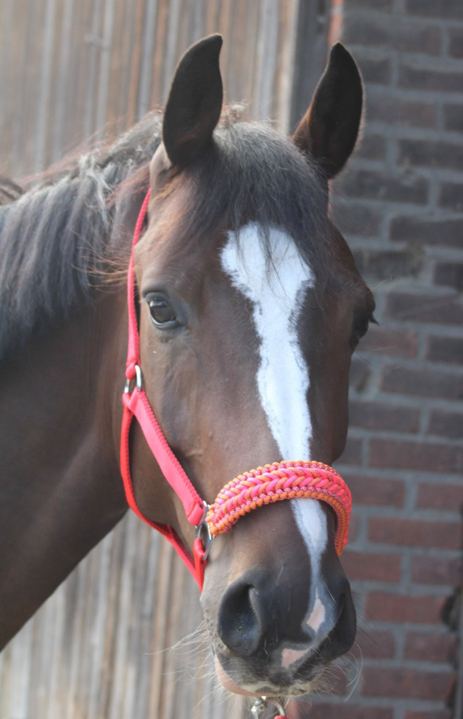 Handgemaakte paardenhalsters - Geknoopt halster ‘Candy Crush’ rood/oranje/roze