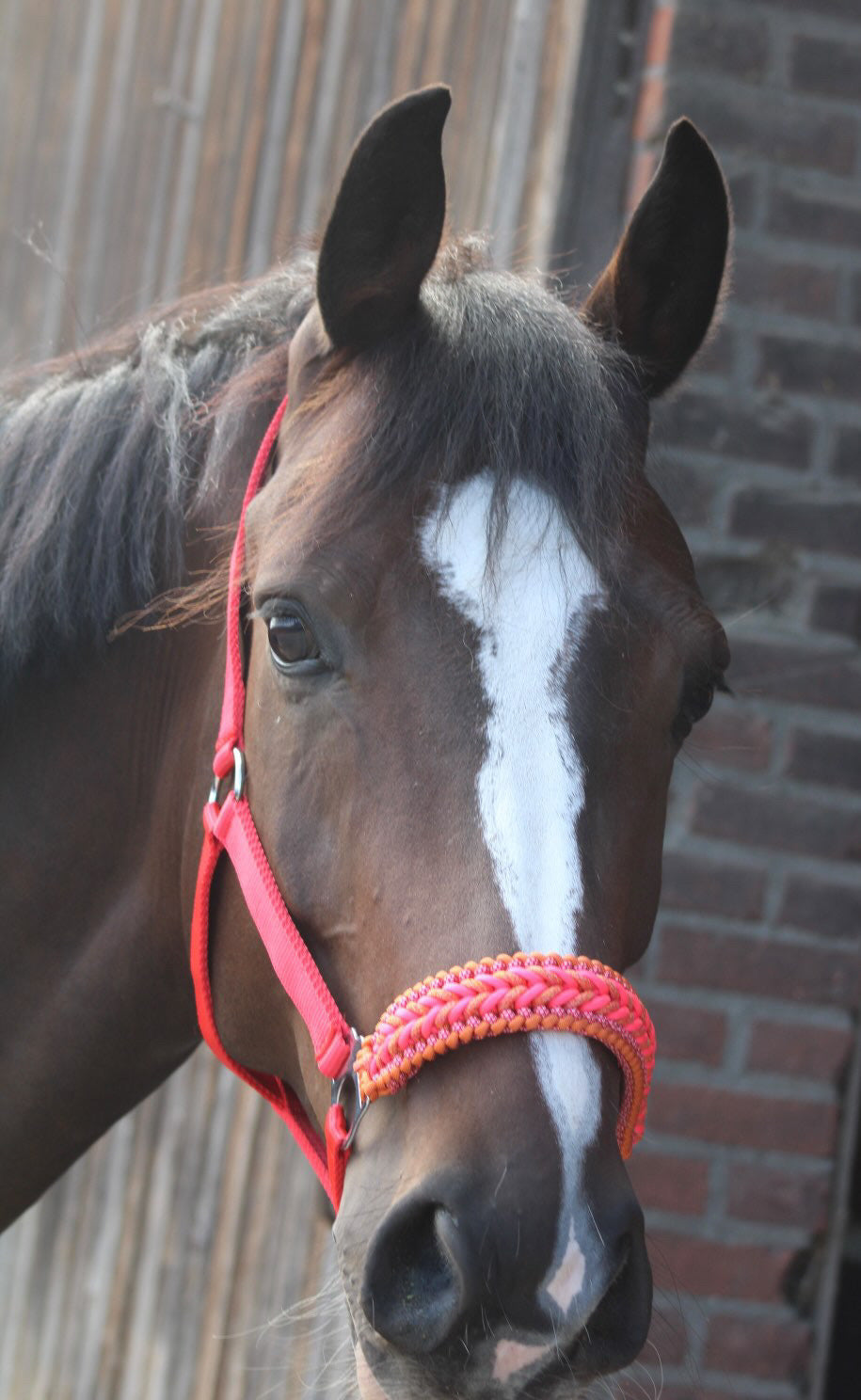 Handgemaakte paardenhalsters - Geknoopt halster ‘Candy Crush’ rood/oranje/roze