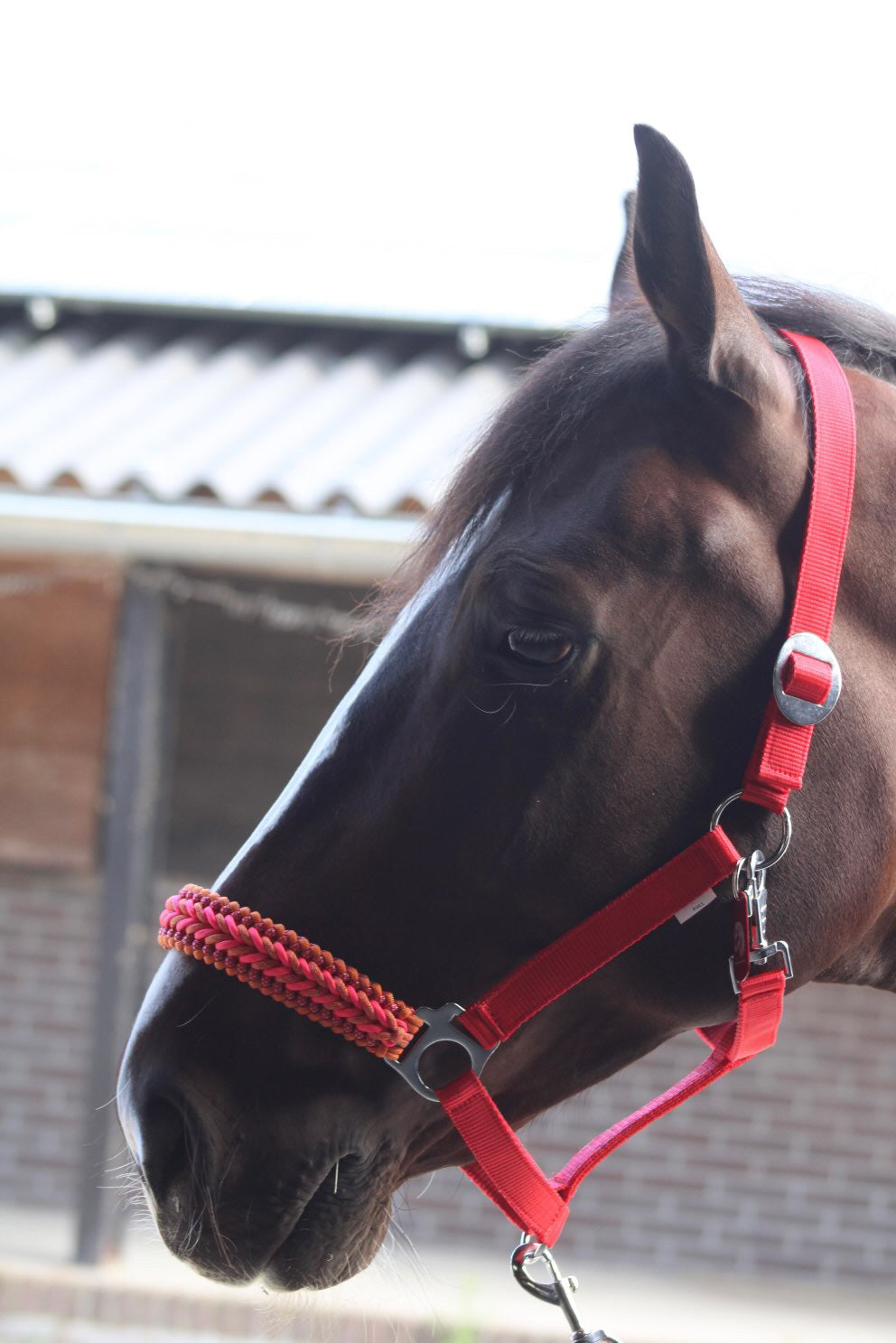 Handgemaakte paardenhalsters - Geknoopt halster ‘Candy Crush’ rood/oranje/roze