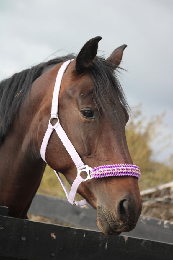 Handgemaakte paardenhalsters - Geknoopt halster ‘Hermosa’ paars/ lavendel