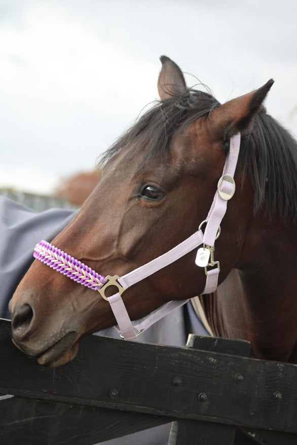 Handgemaakte paardenhalsters - Geknoopt halster ‘Hermosa’ paars/ lavendel