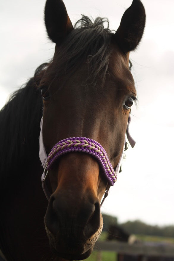 Handgemaakte paardenhalsters - Geknoopt halster ‘Hermosa’ paars/ lavendel
