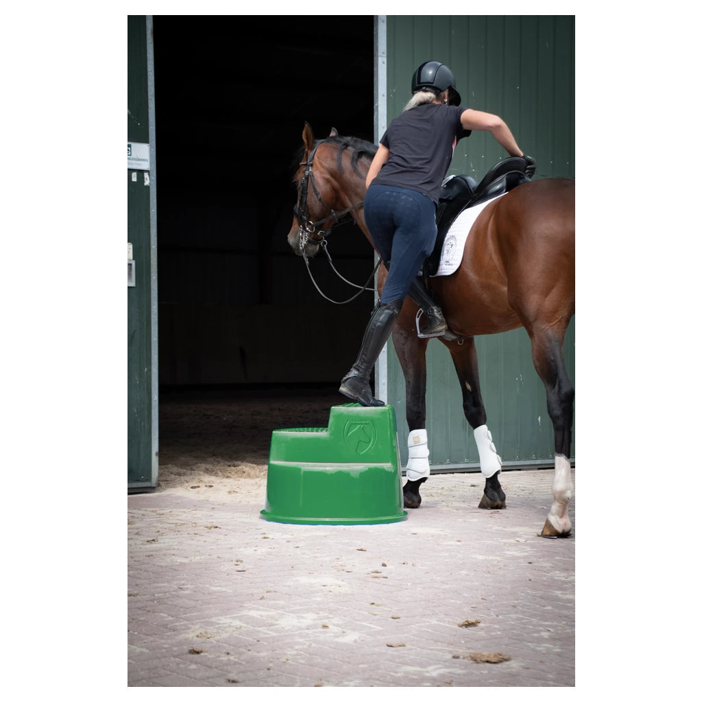 Excellent Horse - 3-step mounting aid, green/black/pink