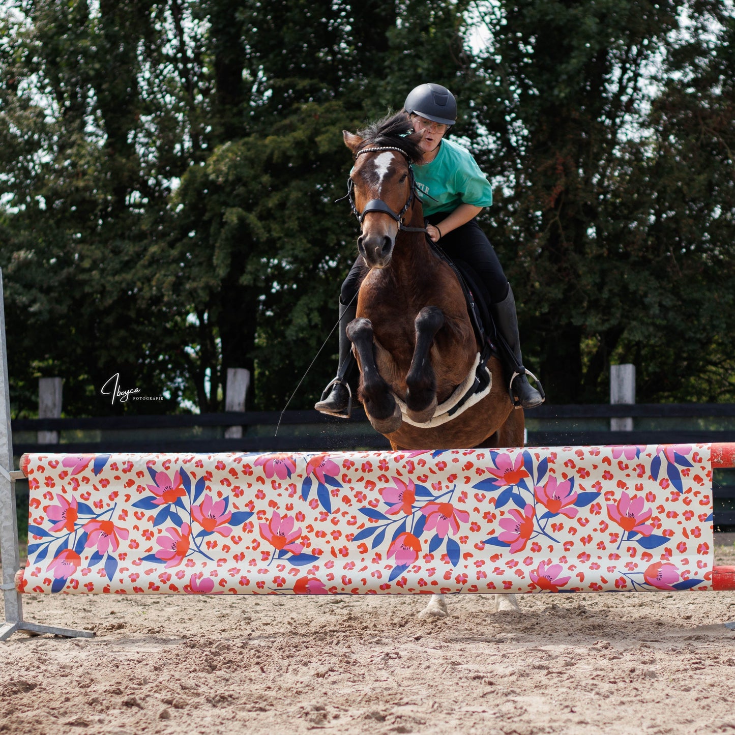 Jumpbanners - Hinderniszeil Standard Pinkie Panther