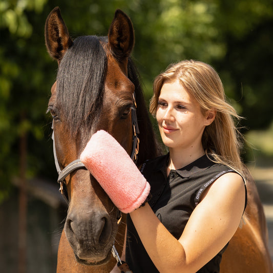 CleanYourHorse - Nano silver Polishing glove pink