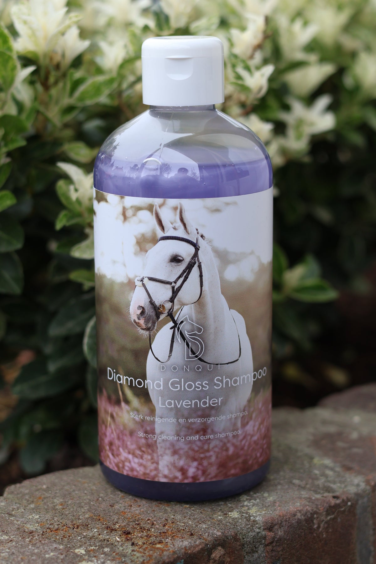 Donqui Gloss Lavender Shampoo