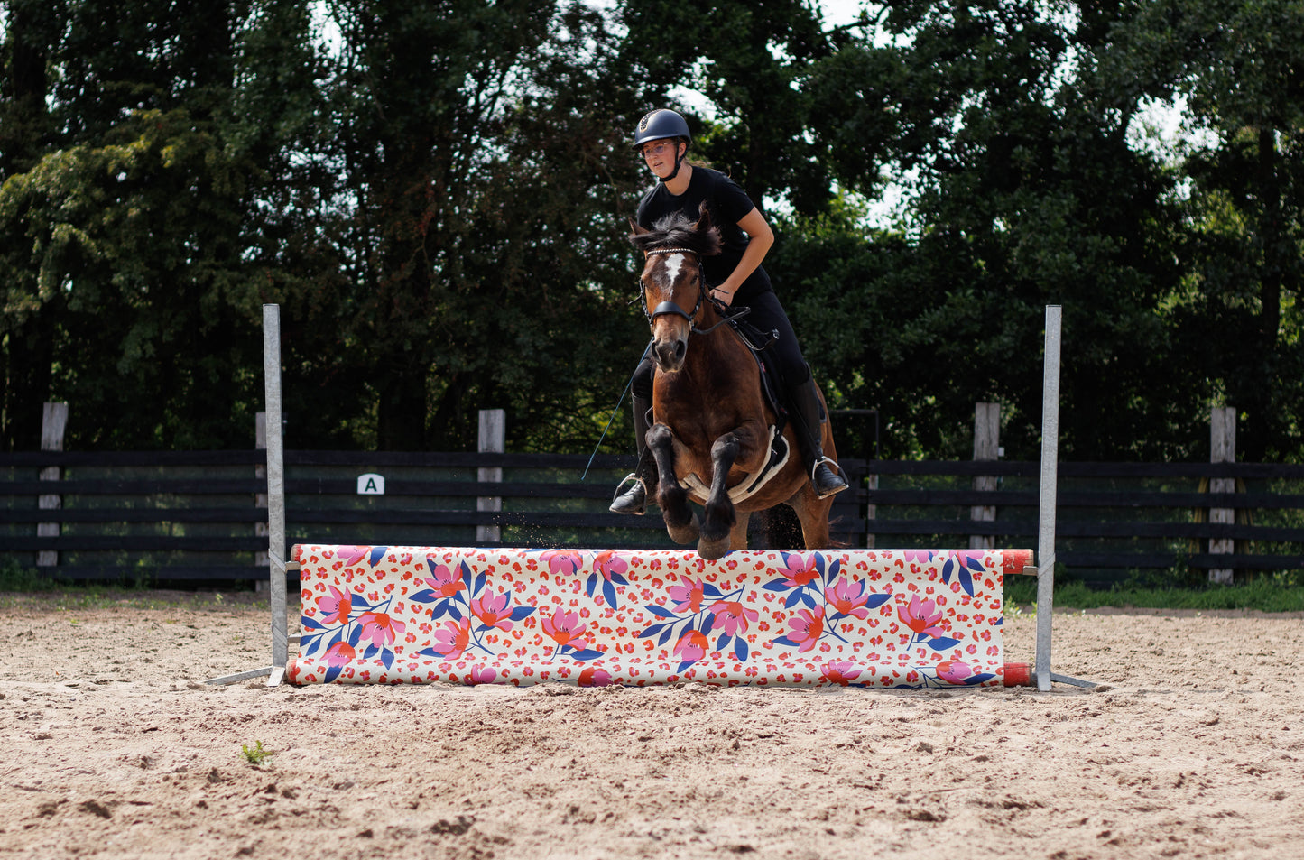 Jumpbanners - Hinderniszeil Standard Pinkie Panther