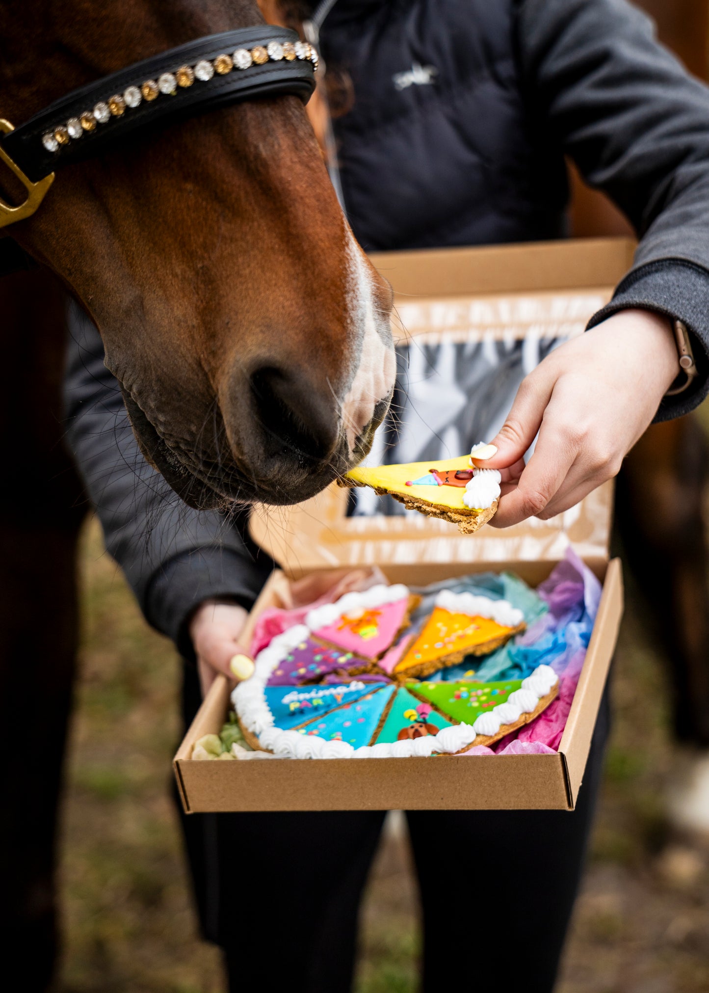 Candy Horse - Colección Limitada Stable Party - Gran pastel de caballo