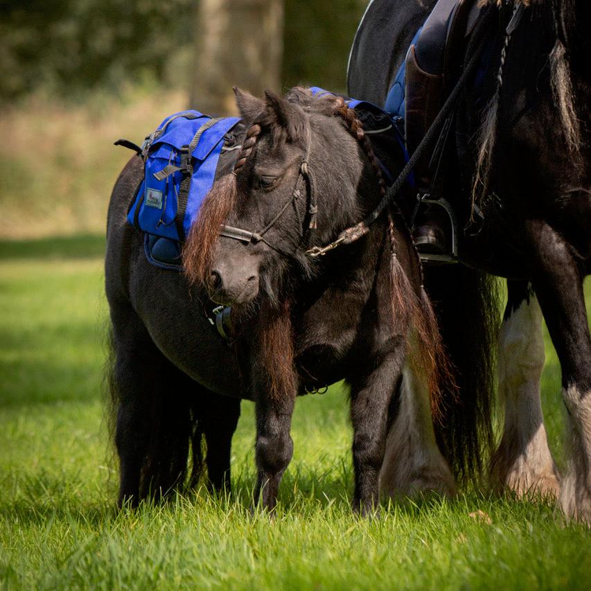 Equi-Pack - Zaino pony