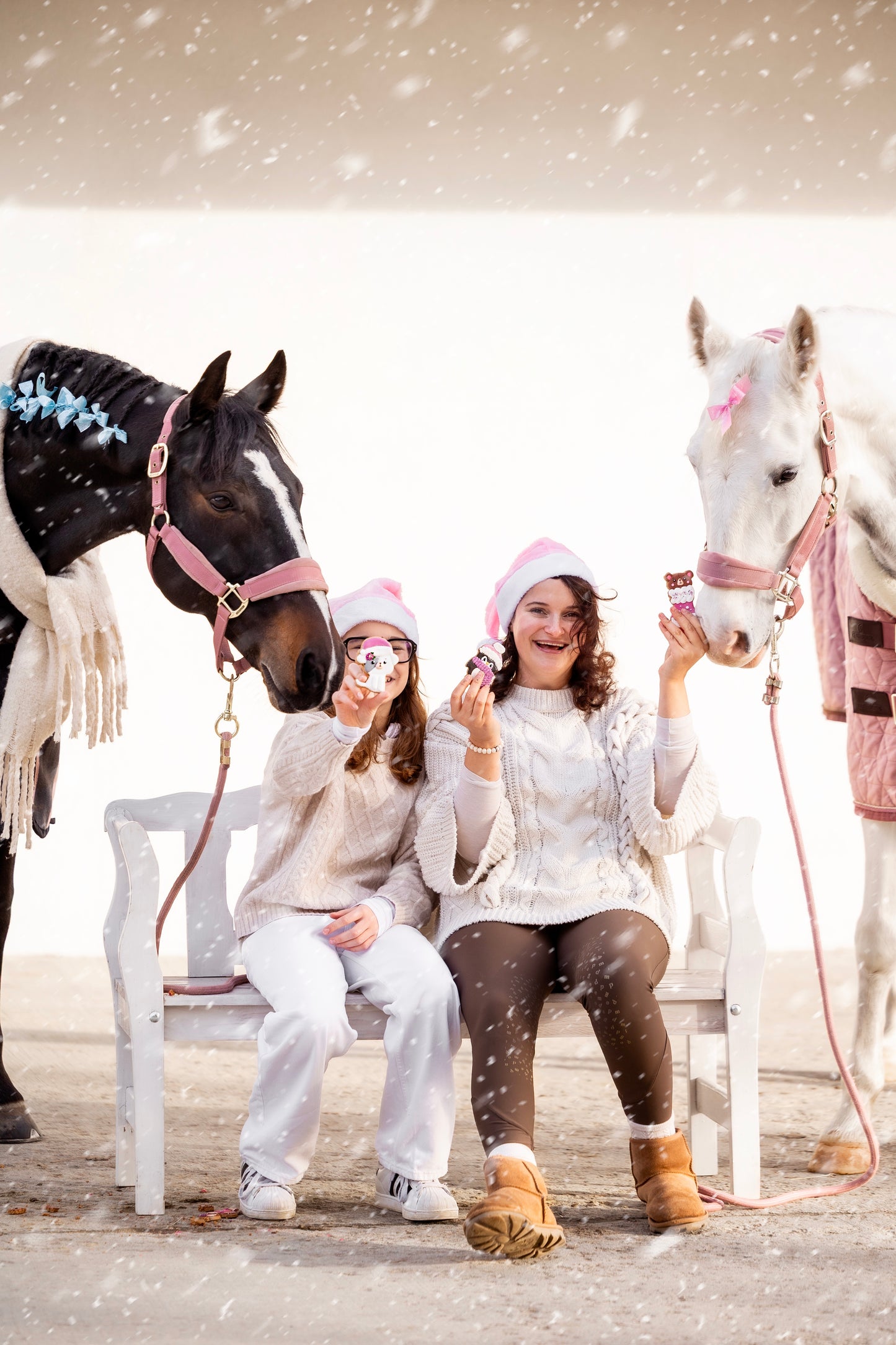 Candy Horse - Christmas Limited Collection - Los koekje