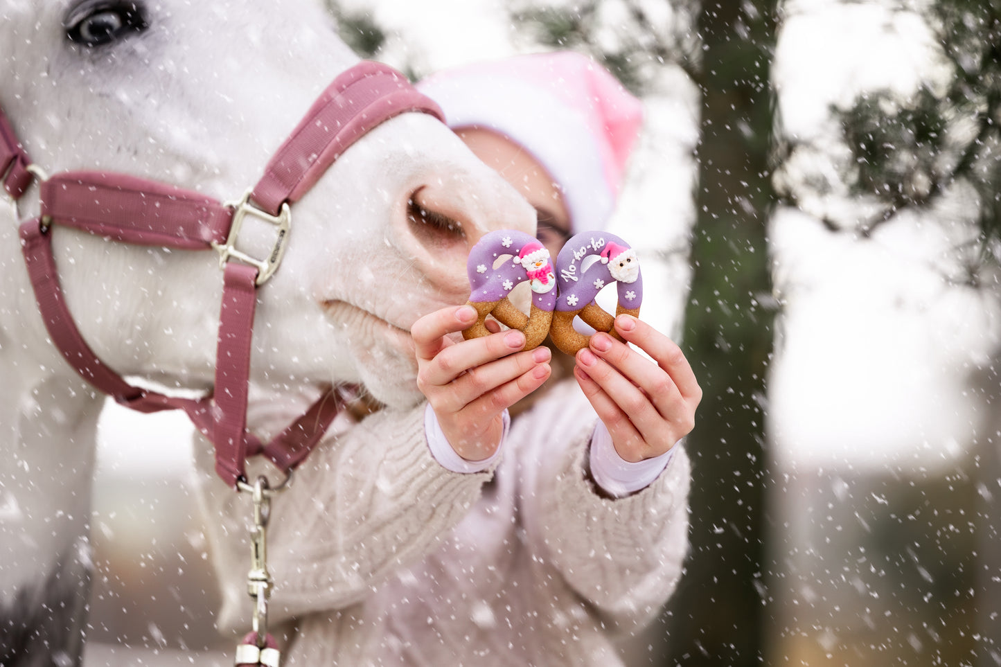 Candy Horse - Christmas Limited Collection - Versierde Pretzels