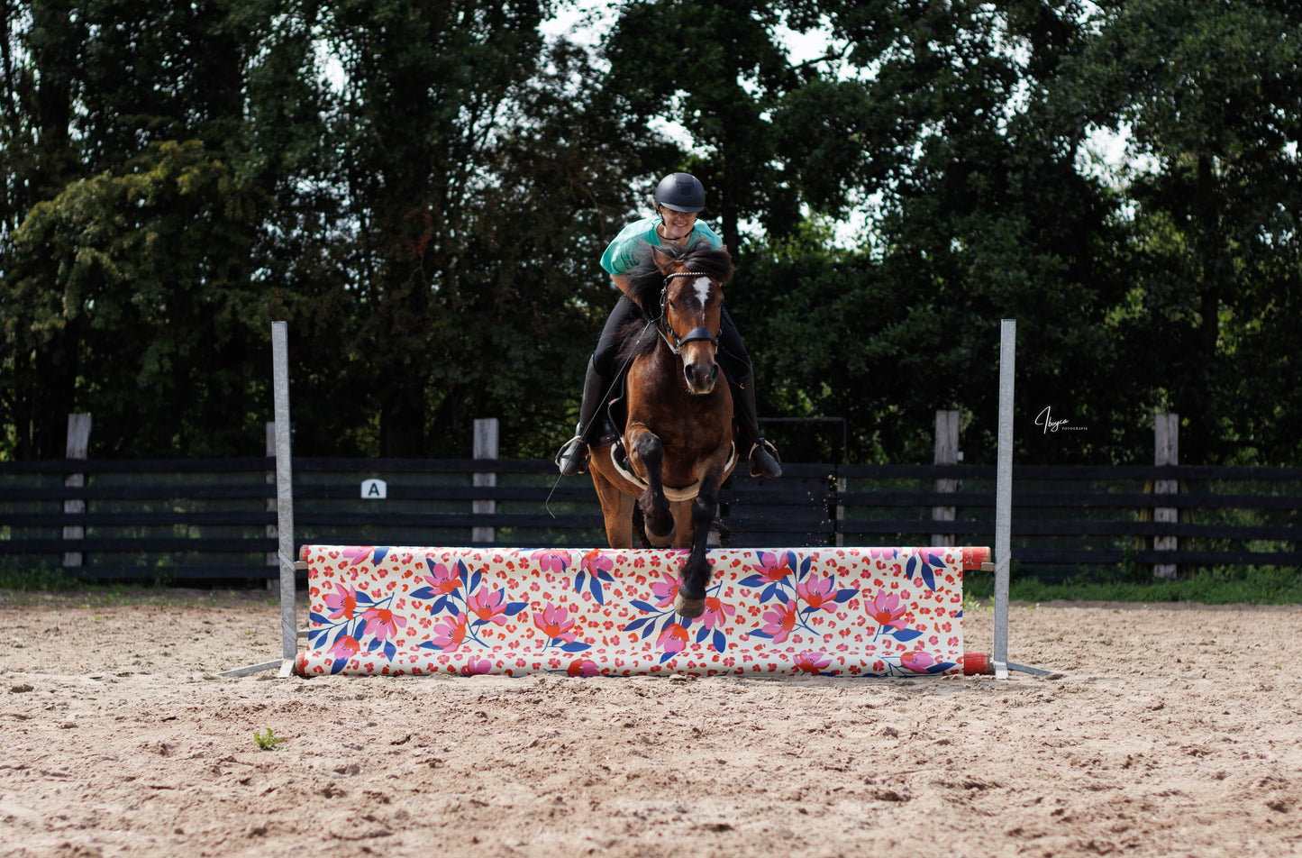 Jumpbanners - Hinderniszeil Standard Pinkie Panther