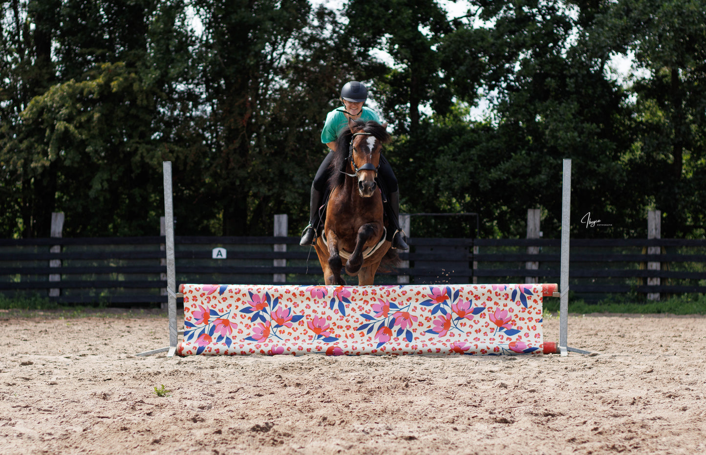 Jumpbanners - Hinderniszeil Standard Pinkie Panther
