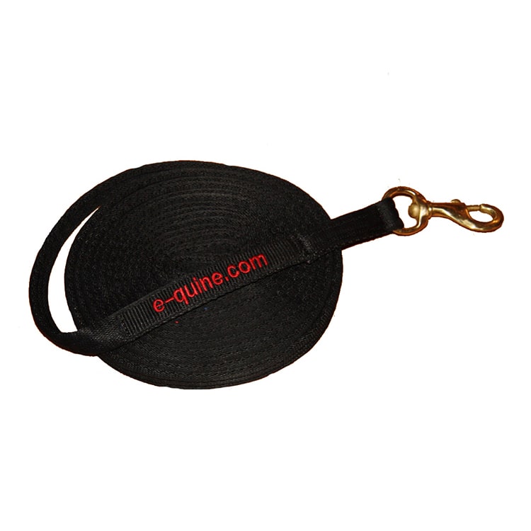 E-quine - Training line 6m