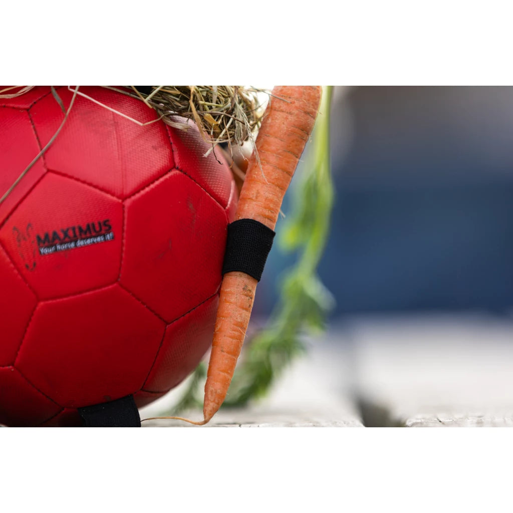 Excellent Horse - Maximus Fun Play Ball speelbal voederbal roze/blauw