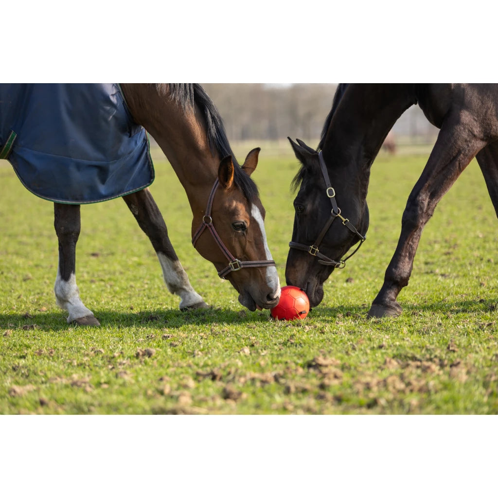 Excellent Horse - Maximus Fun Play Ball speelbal voederbal roze/blauw