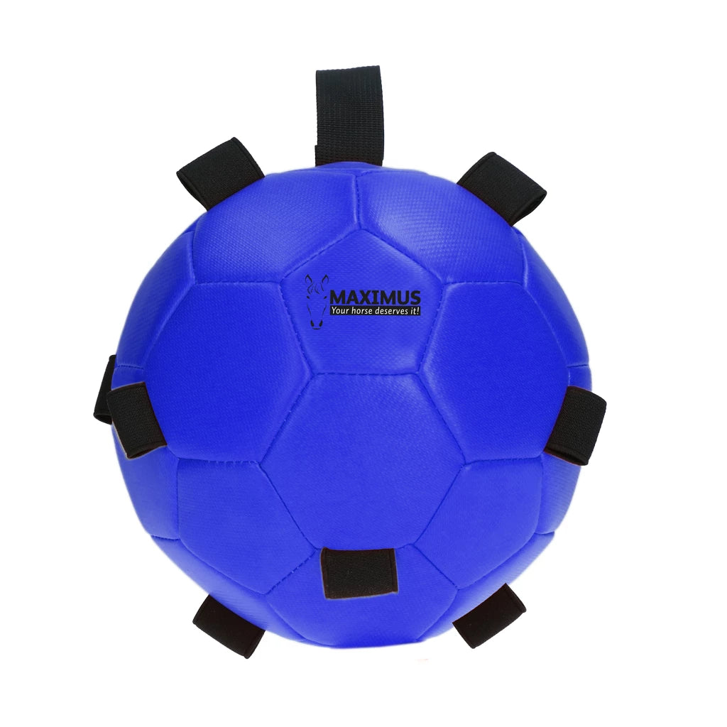 Excellent Horse - Maximus Fun Play Ball speelbal voederbal roze/blauw