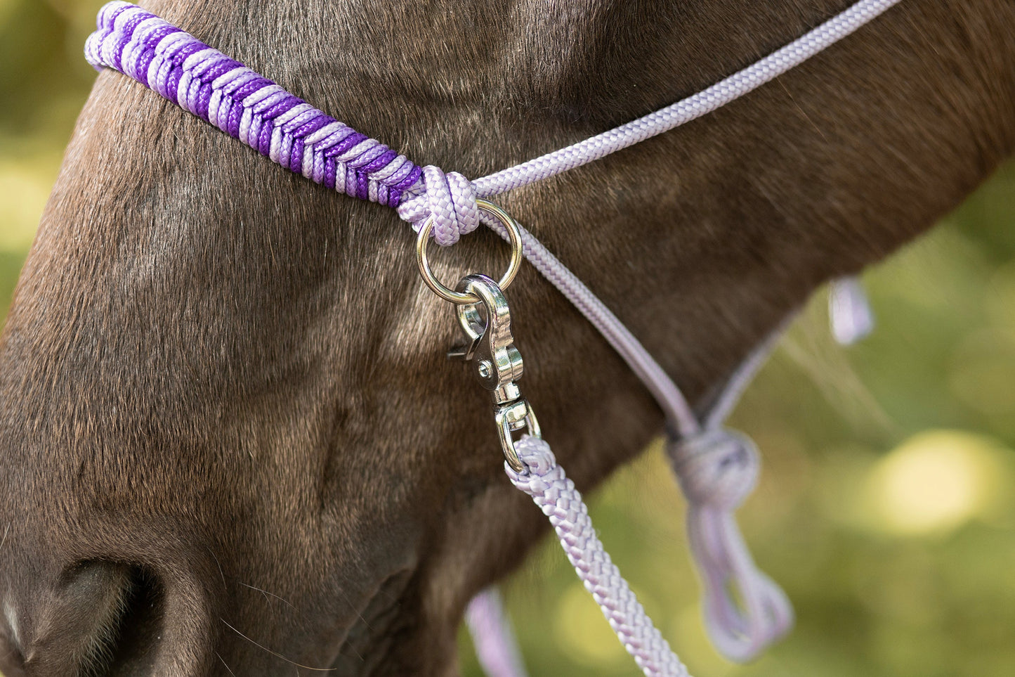 Myrthe's Horse Passion - Fishtail Rope Halter 2025-2026