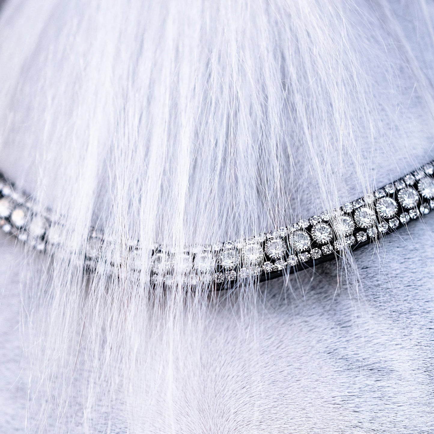 Lumiere/ Lumi Pony - Solitaire Crystal browband (also in brown!)