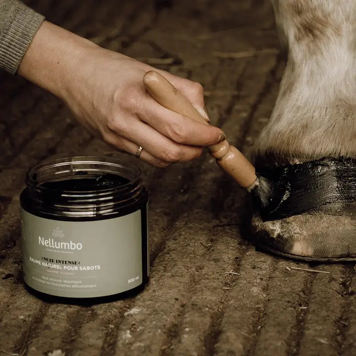 Nellumbo - Zwarte hoefzalf voor paarden