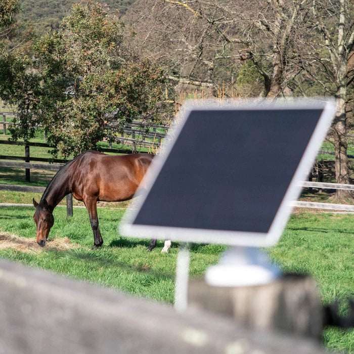 Equine Eye - Stal en weidecamera Vision (4G camera)