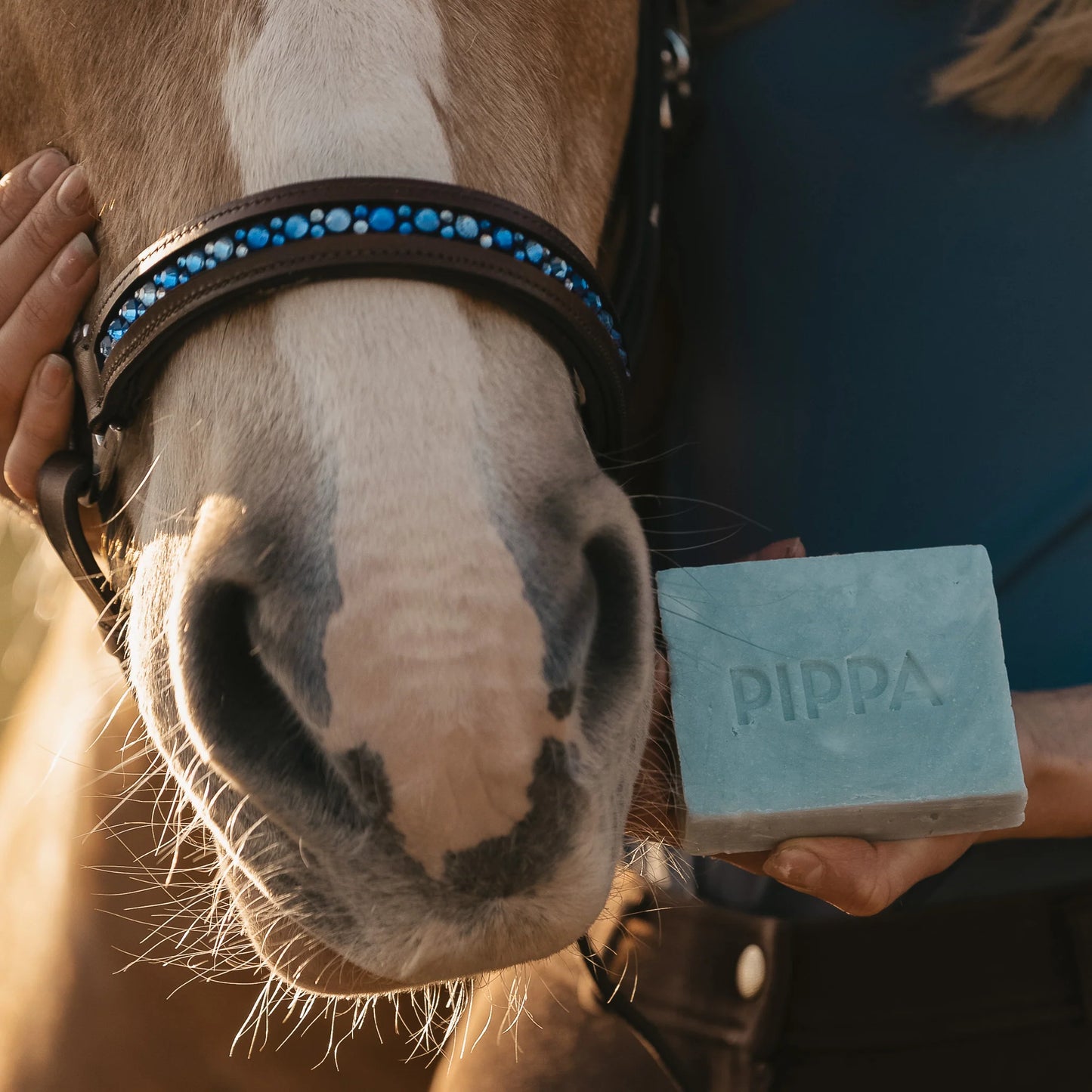Pippa - Shampoo Bar Aloe Vera & Avocado