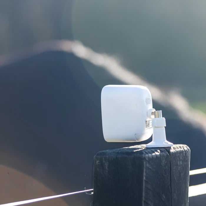 Equine Eye - Extra bevestiging voor Vision camera