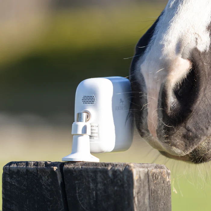 Equine Eye - Stal en weidecamera Vision (4G camera)