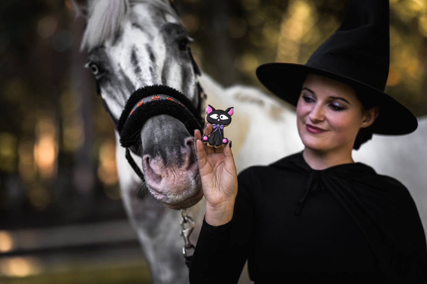 Candy Horse - Halloween Limited Collection - Los koekje