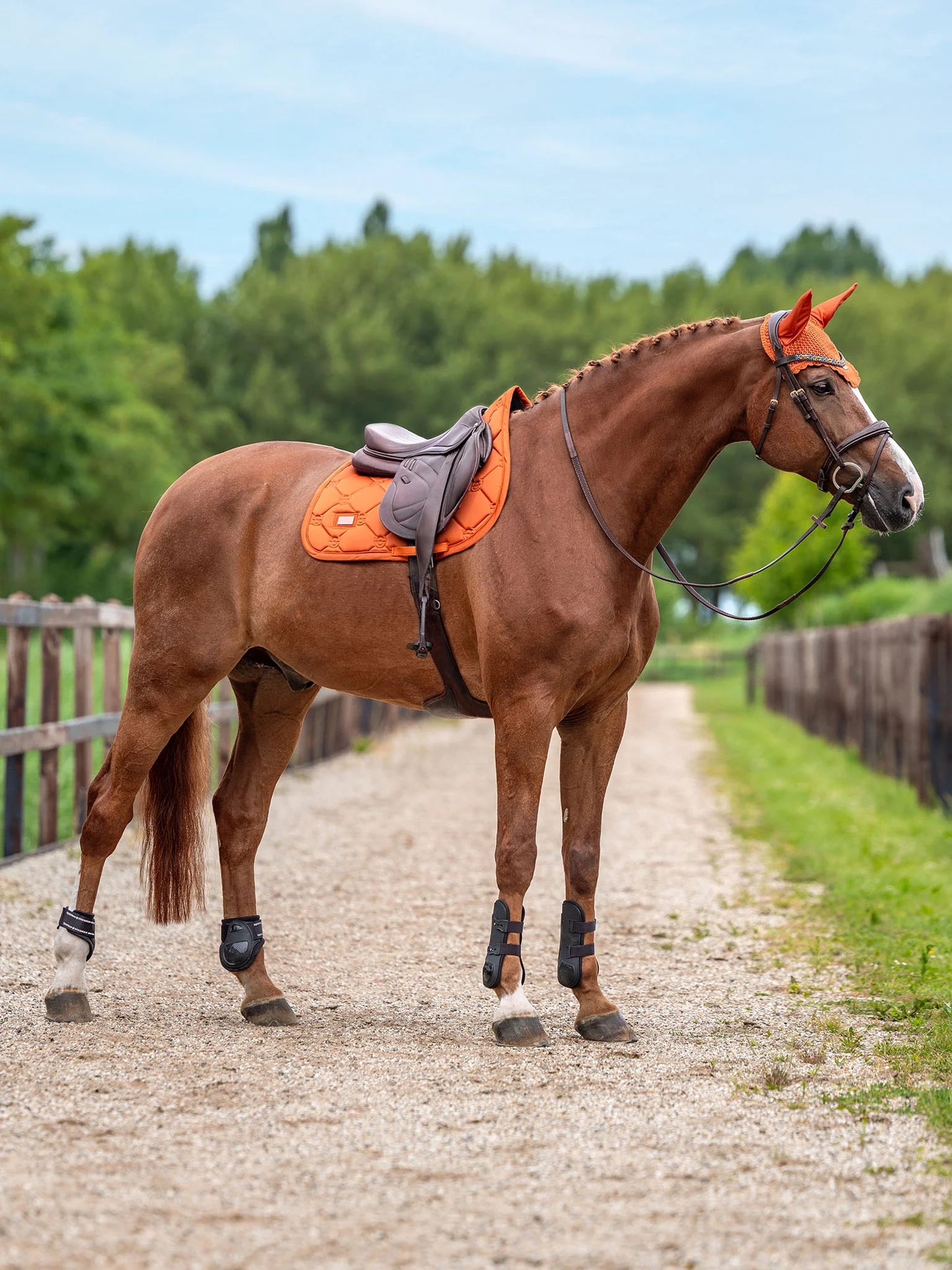 Equestrian Stockholm - FW26 Chestnut - Jump Saddle Pad Satin springzadeldek