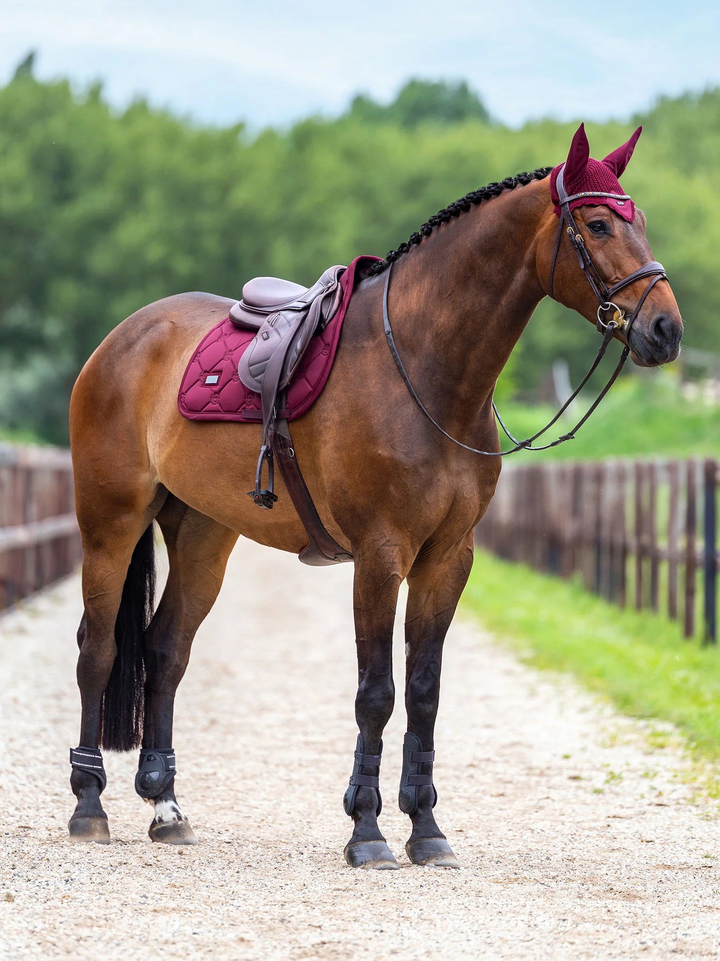 Equestrian Stockholm - FW26 Merlot - Ear Bonnet Satin oornetje